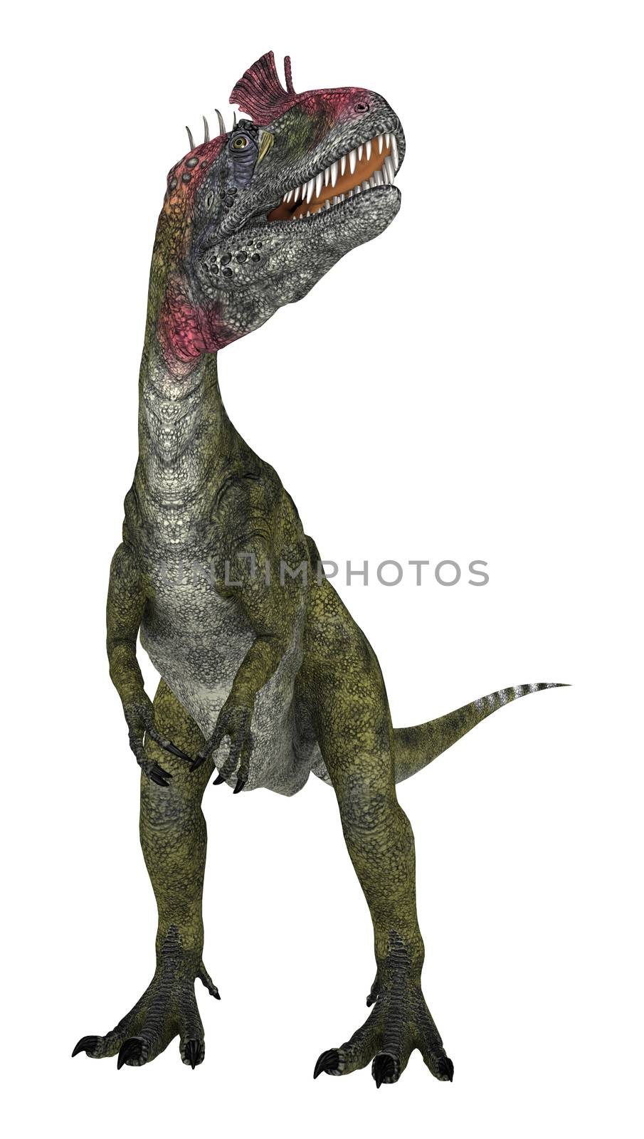 Dinosaur Cryolophosaurus by Vac