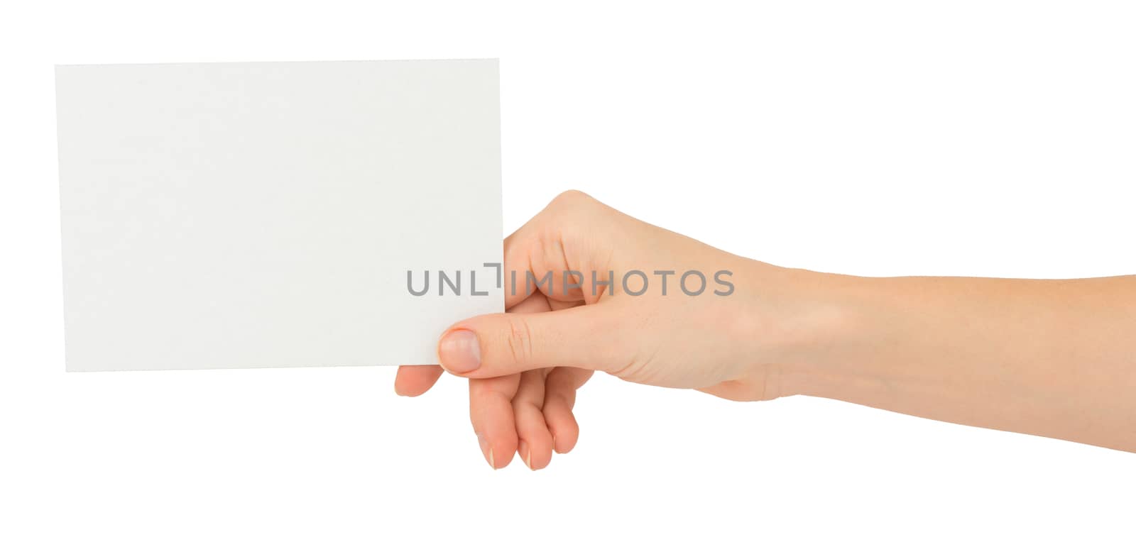 Humans hand holding empty card on isolated white background