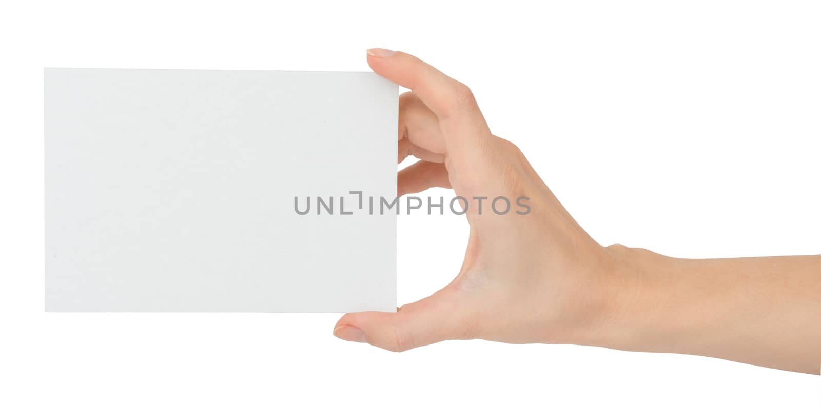 Womans hand holding empty card on isolated white background