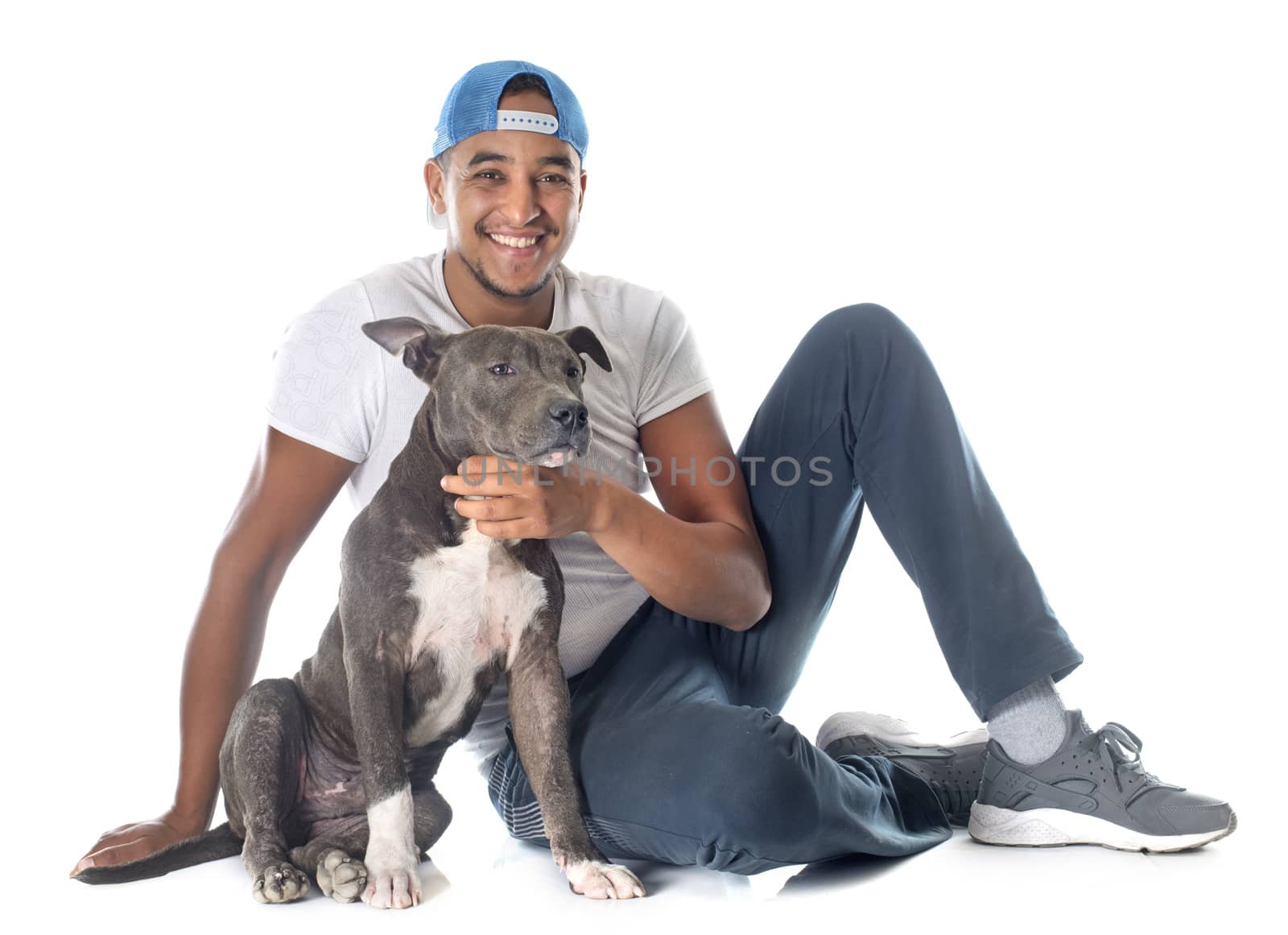 man and puppy american staffordshire terrier in front of white background