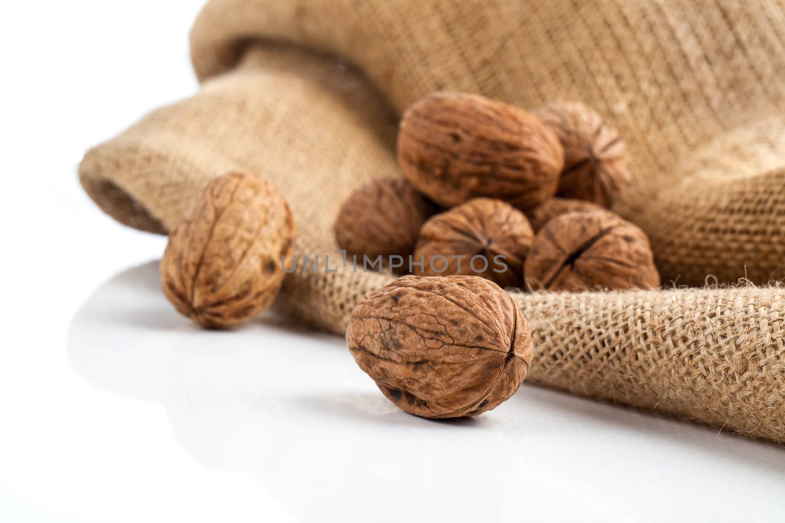 walnut isolated on the white background by motorolka