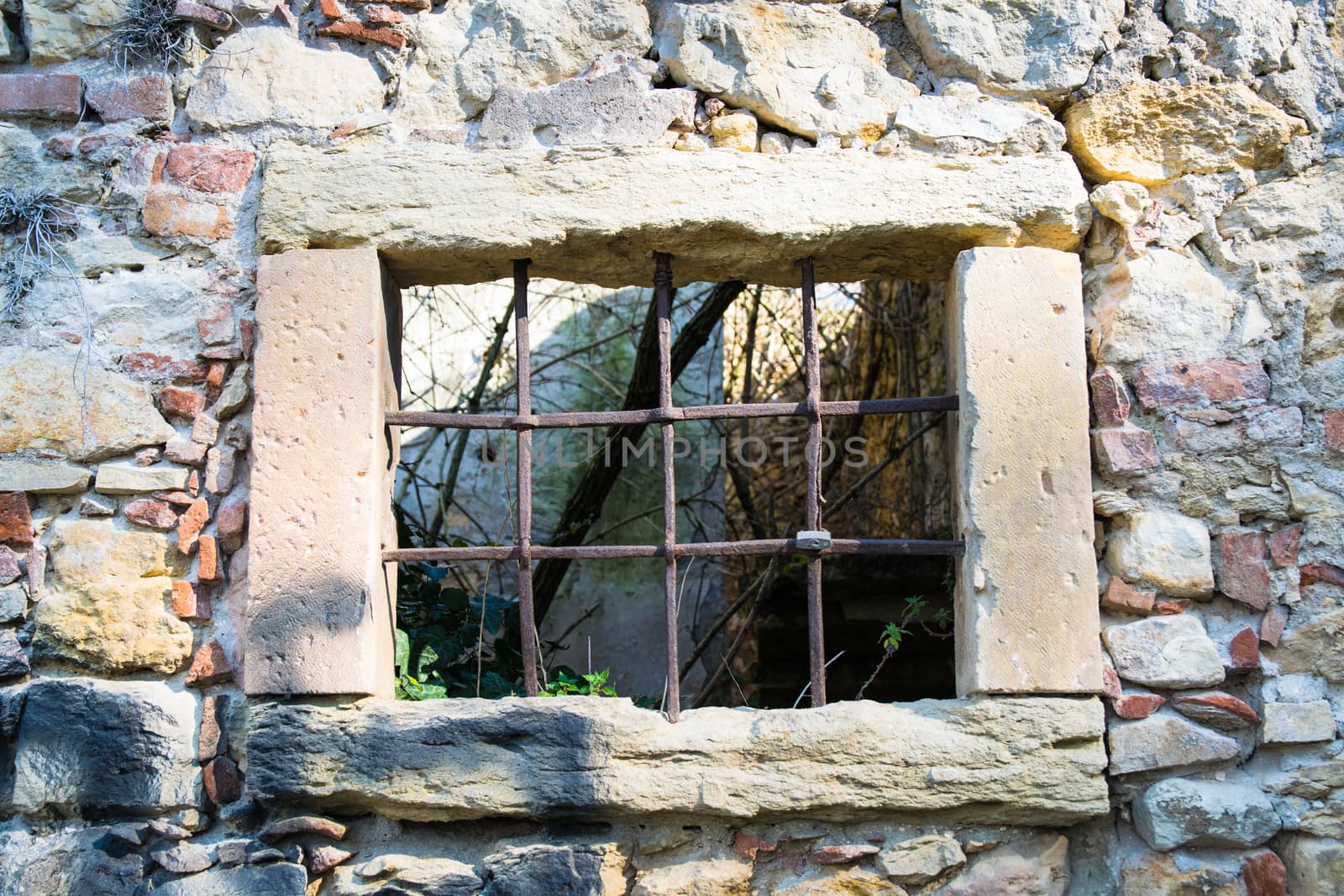 old window grille of a ruined castle by Isaac74