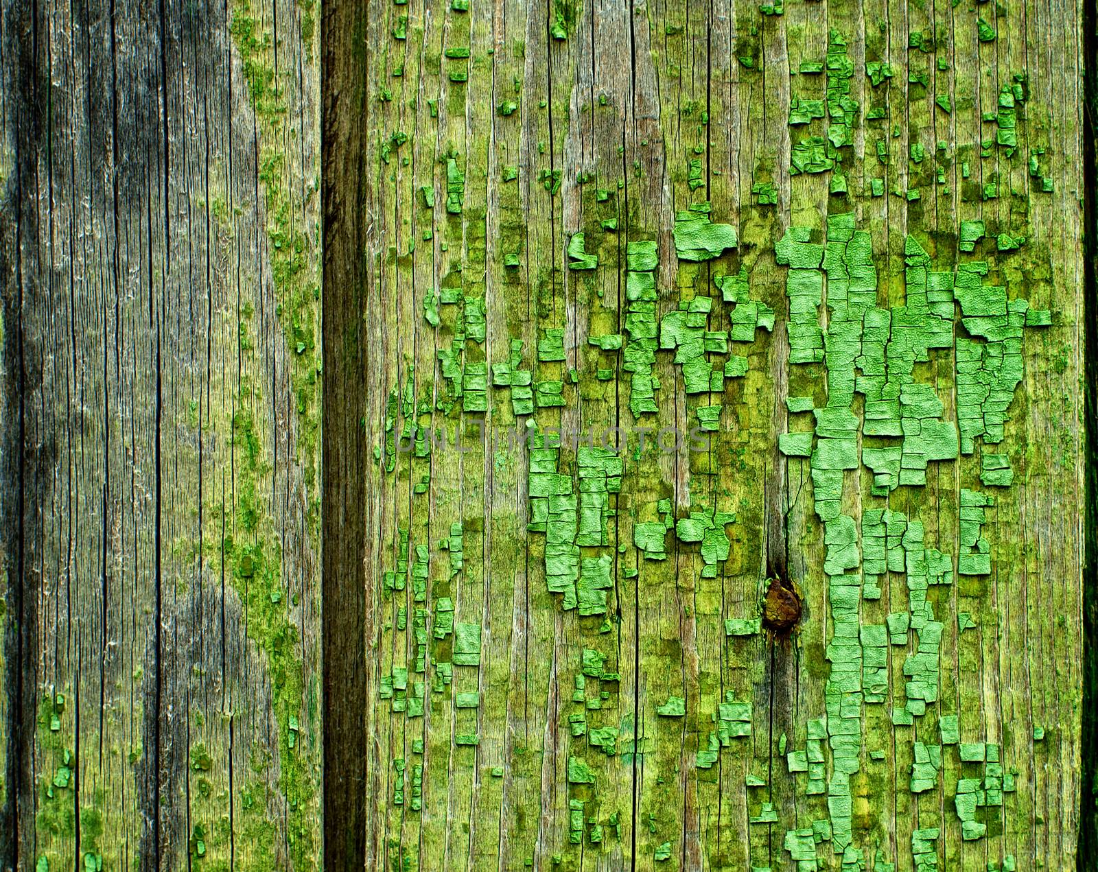 Natural Weathered Wooden Background with Timber Knots Old Nails and Cracked Paint closeup