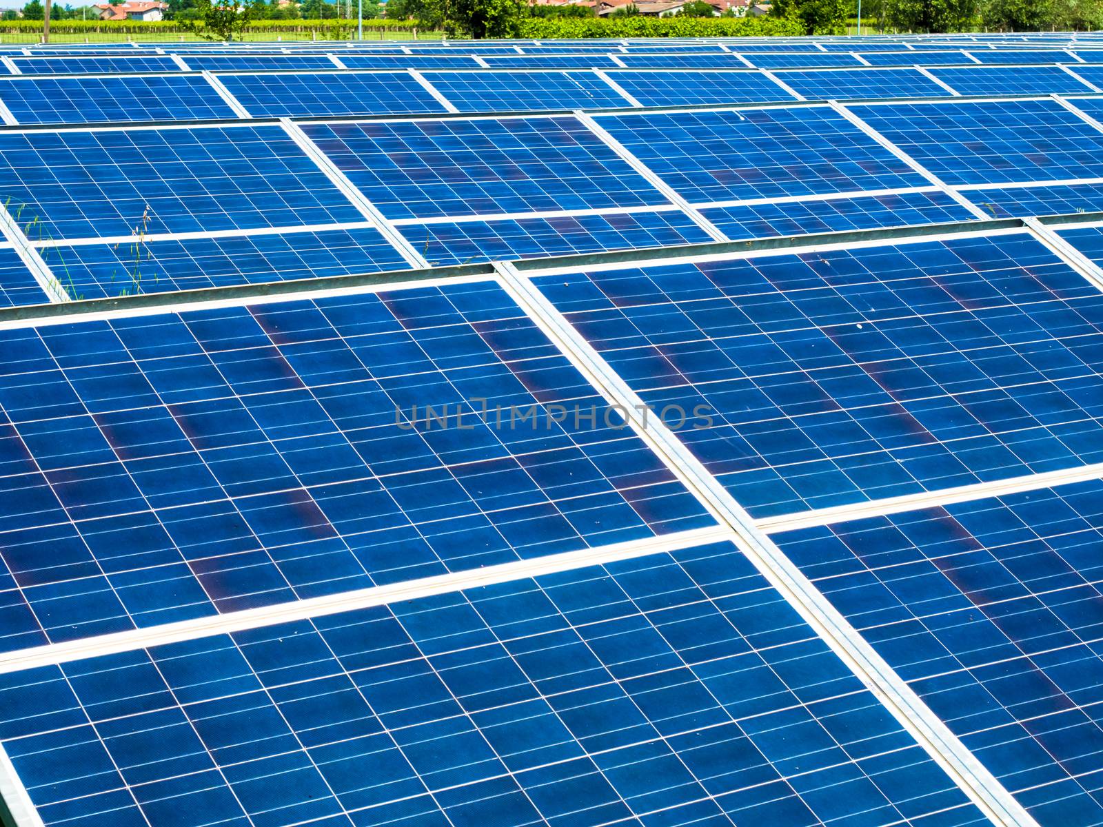 series of photovoltaic panels in a photovoltaic park