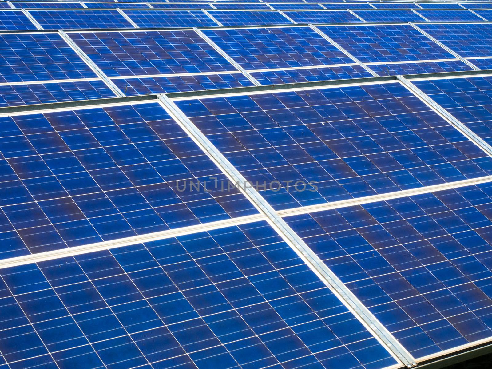 series of photovoltaic panels in a photovoltaic park