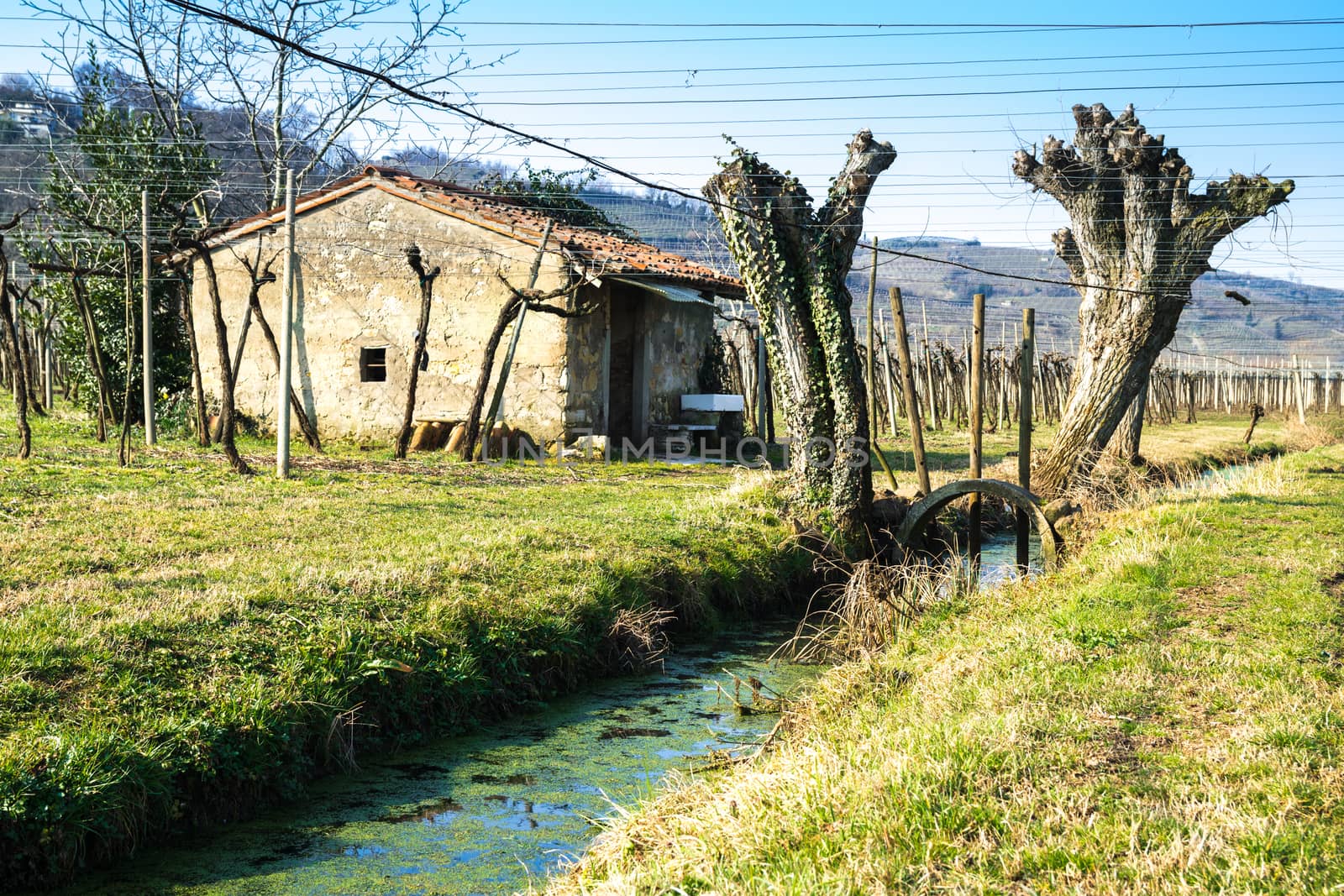 Country cottage in an Italian vineyard in autumn. by Isaac74