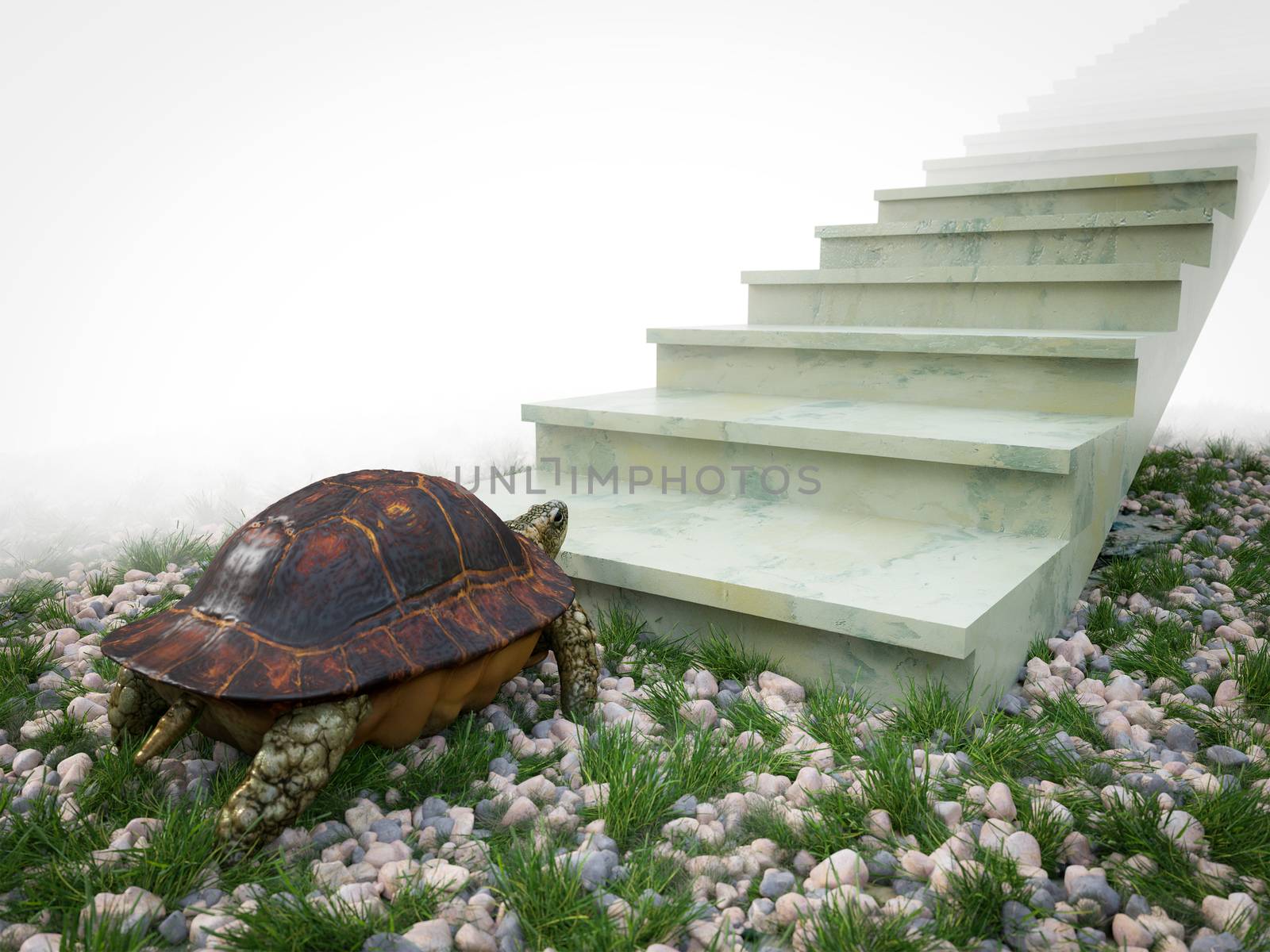 moving turtle wants to climb on the stairs concept background by denisgo