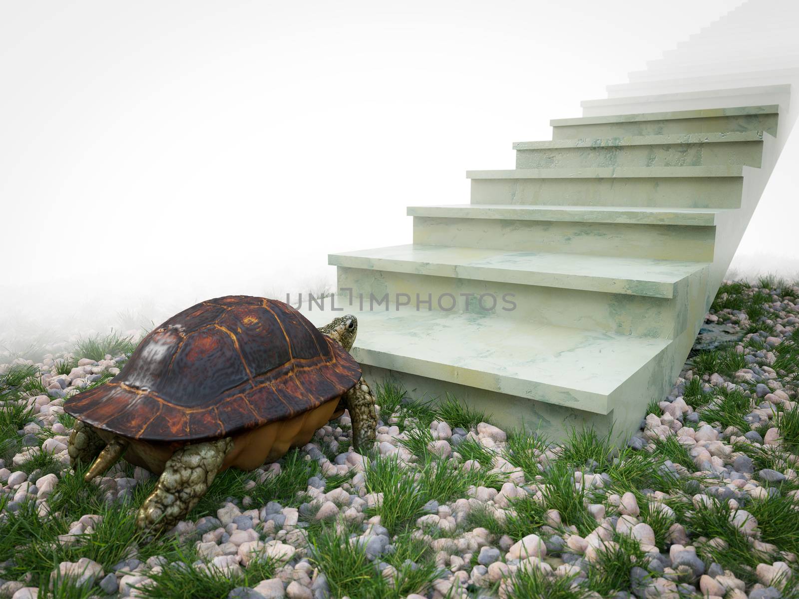 moving turtle wants to climb on the stairs concept background