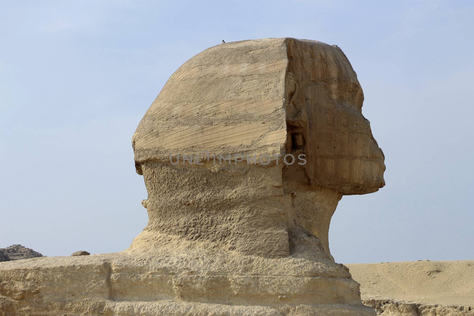 Pyramids In Desert Of Egypt And Sphinx In Giza