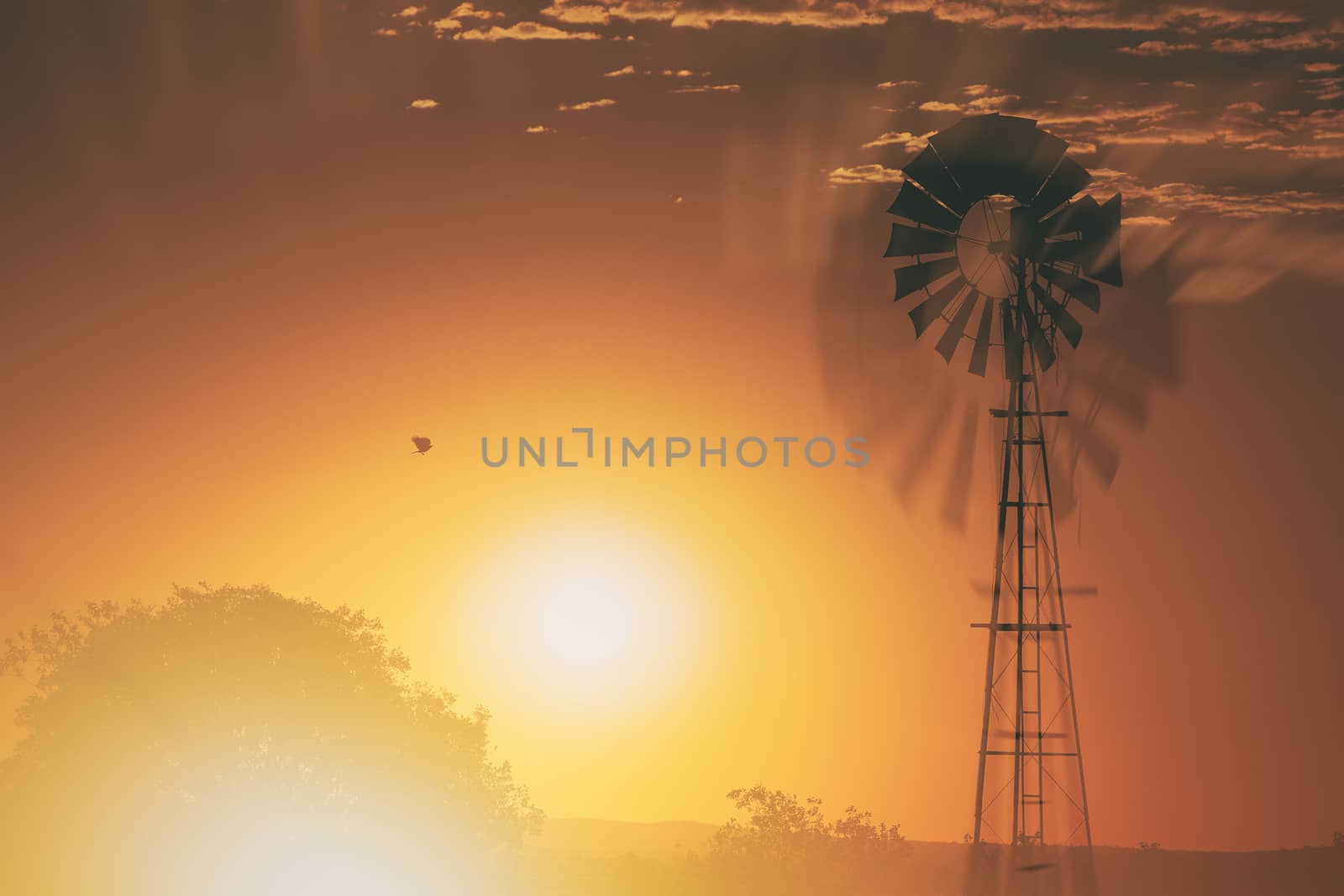 Outback Windmill by artistrobd