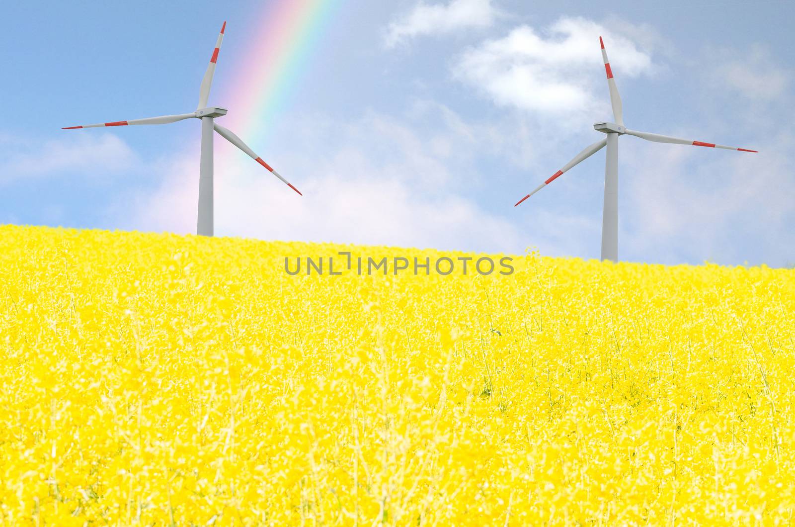 Field of rape and rainbow by JFsPic