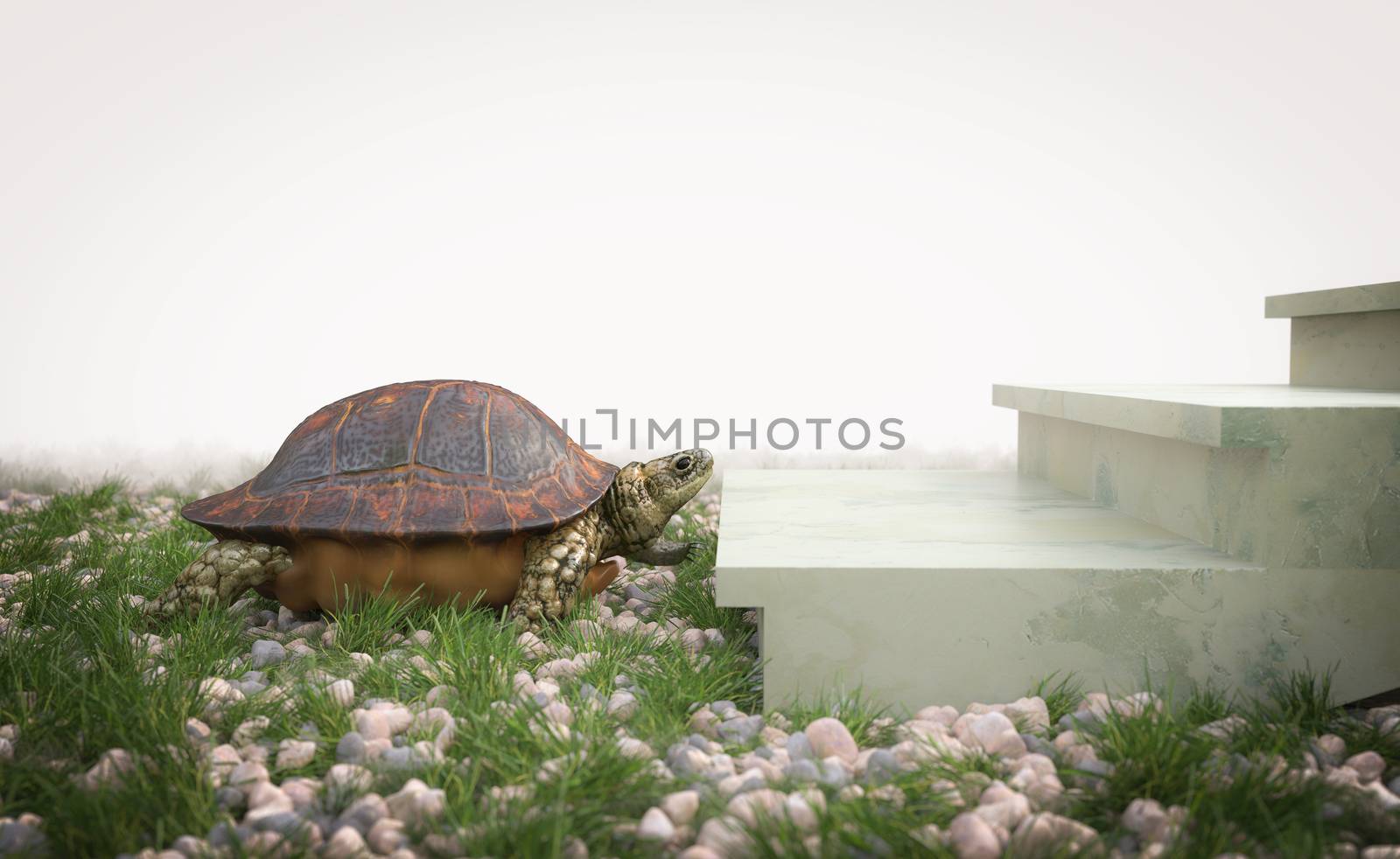 moving turtle wants to climb on the stairs concept background by denisgo