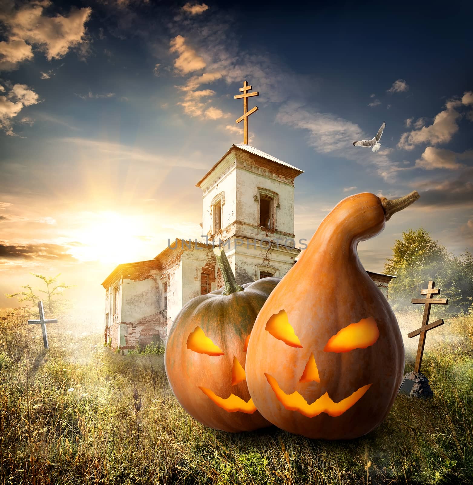 Halloween pumpkins on a churchyard near old church