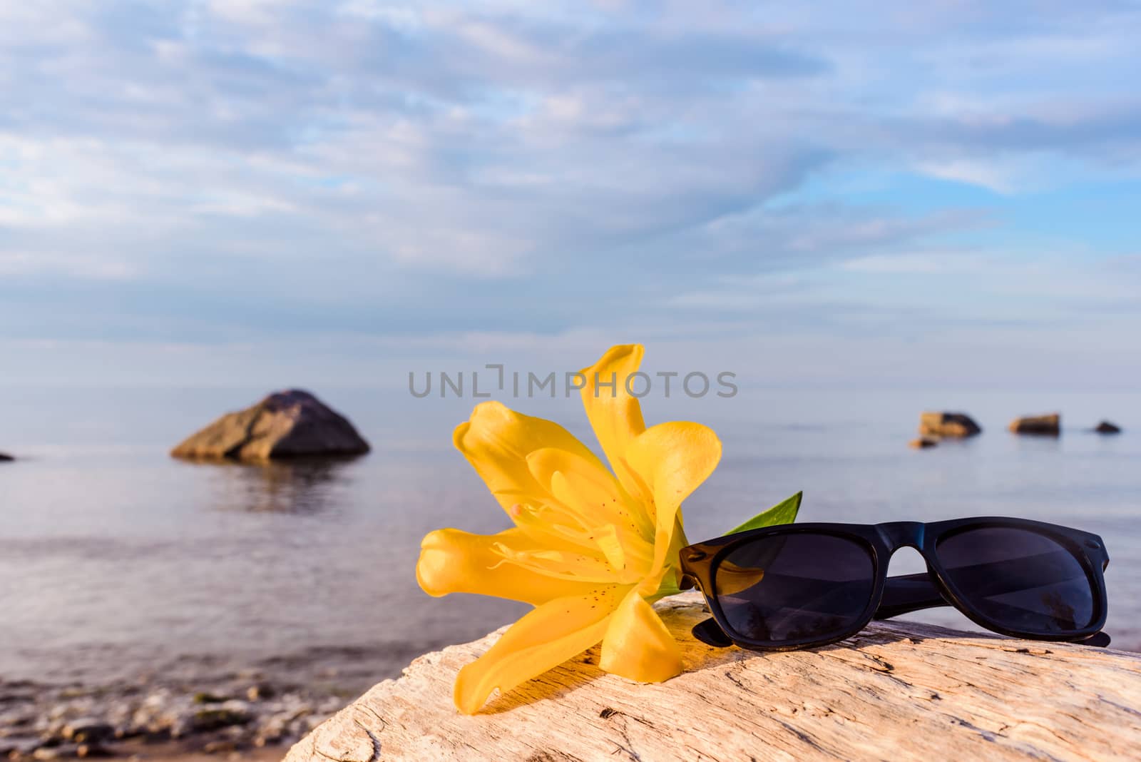 Yellow flower of lily and glasses on the seashore