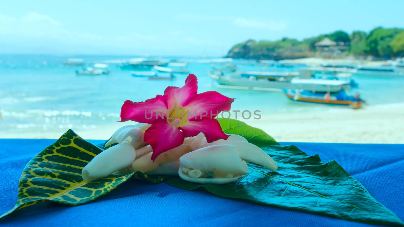  Collage of shells and flowers on the beach