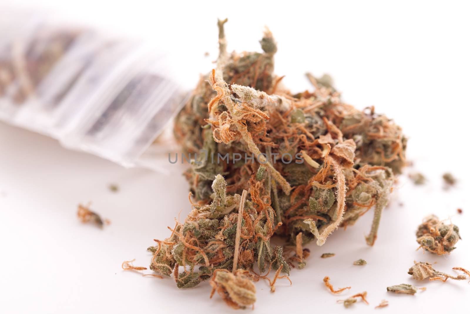Close up Dried Cannabis or Marijuana Leaves Used for Psychoactive Drug or Medicine on Top of the Table