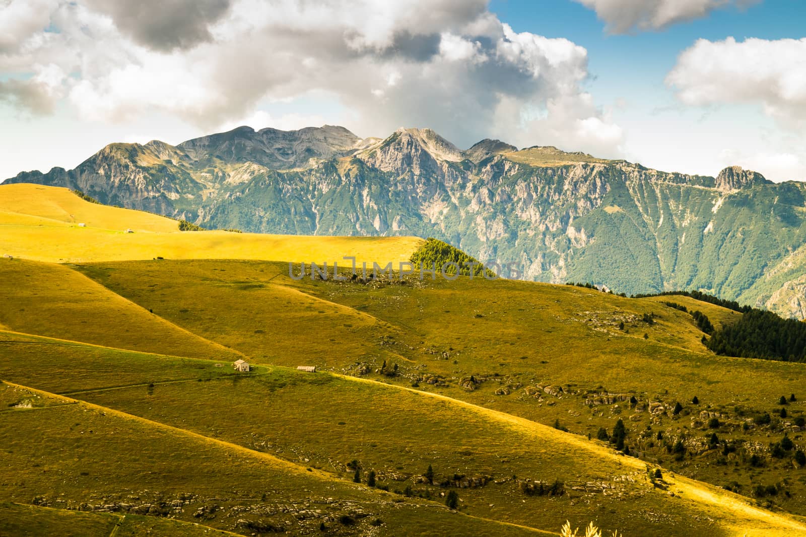 View of meadows in the mountains that create sinuous lines.