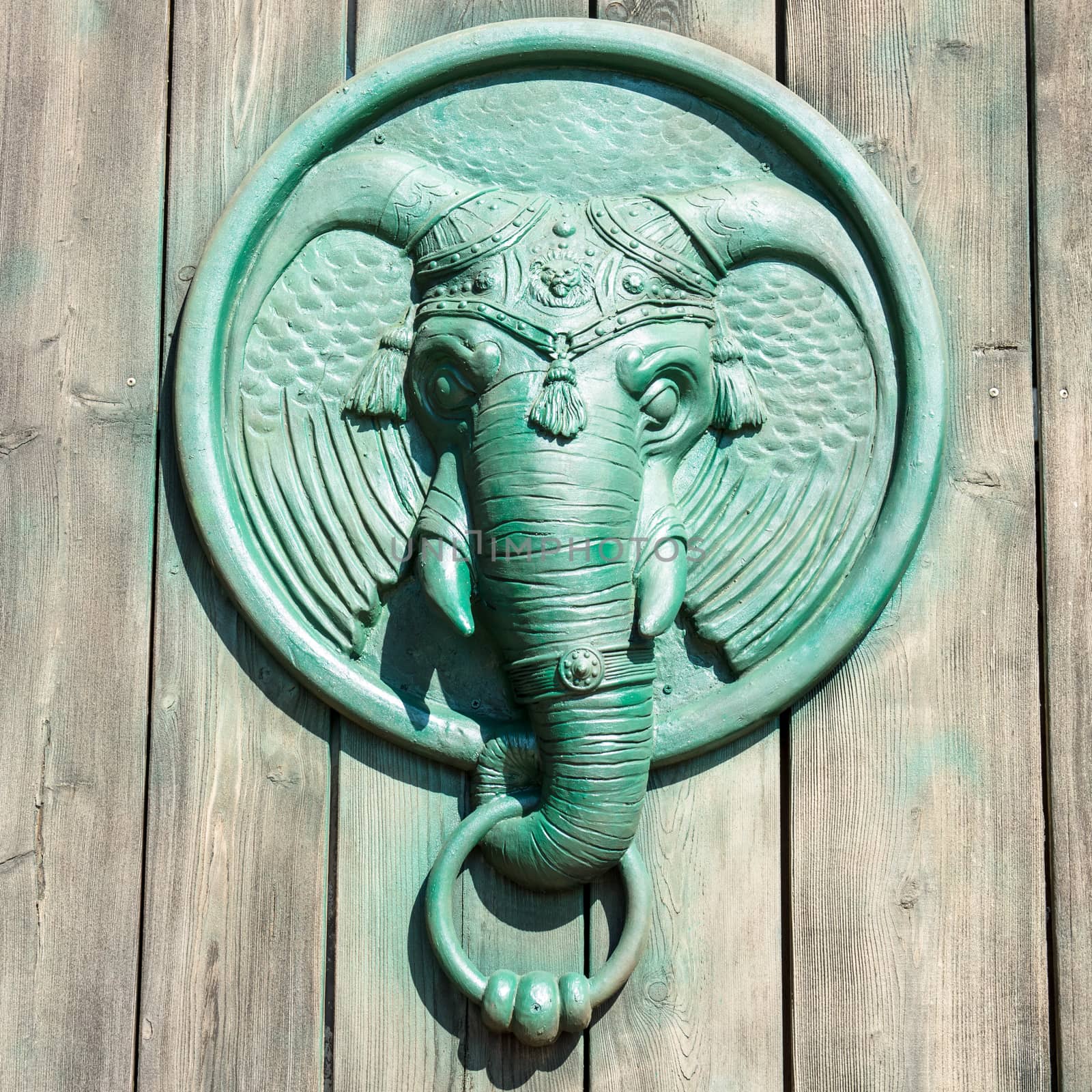 Antique door knocker shaped like elephant's head.