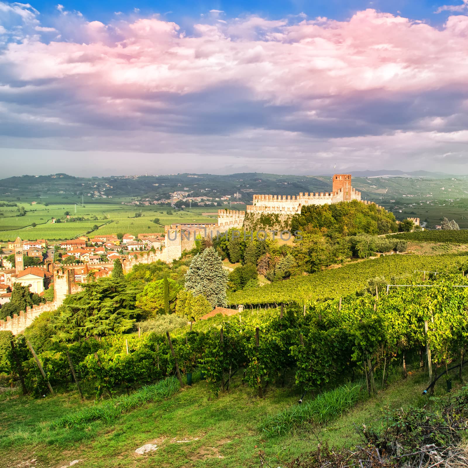 view of Soave (Italy) and its famous medieval castle by Isaac74