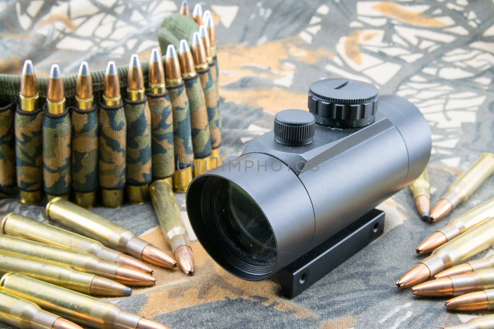 composition with rifle ammunition and red dot sight