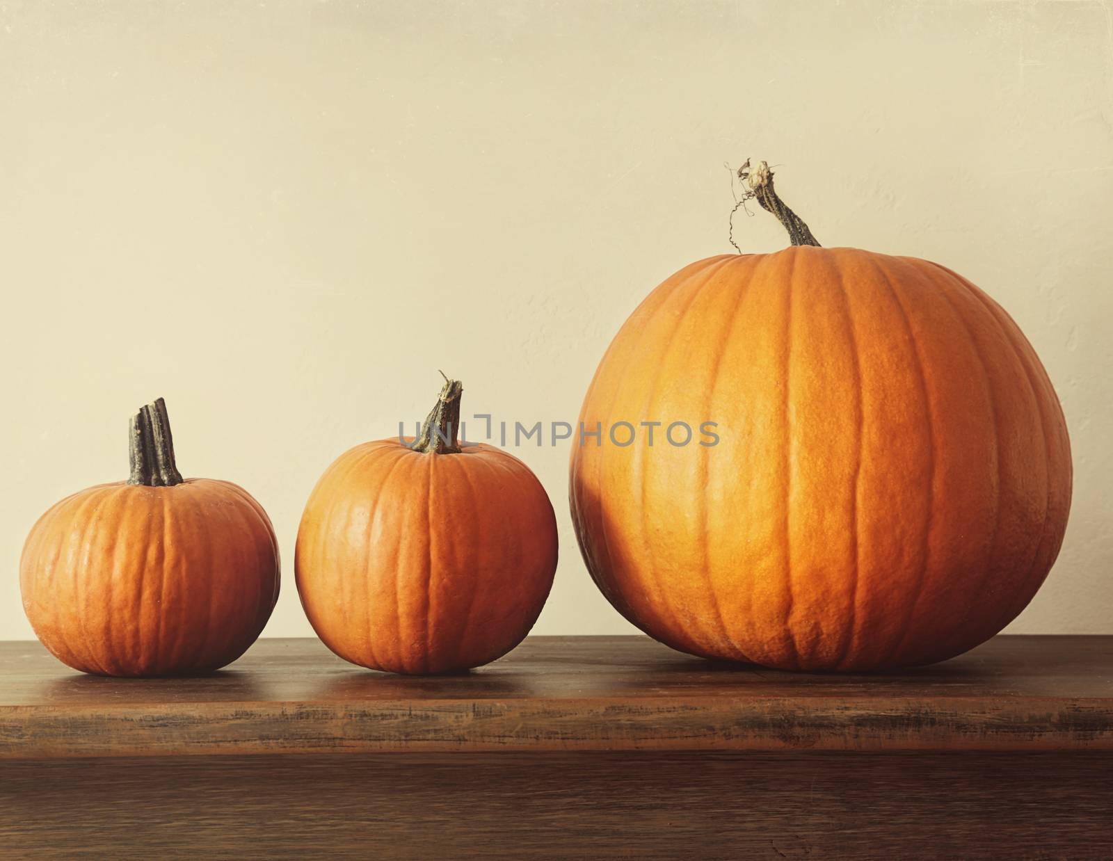 Pumpkins on a table by Sandralise