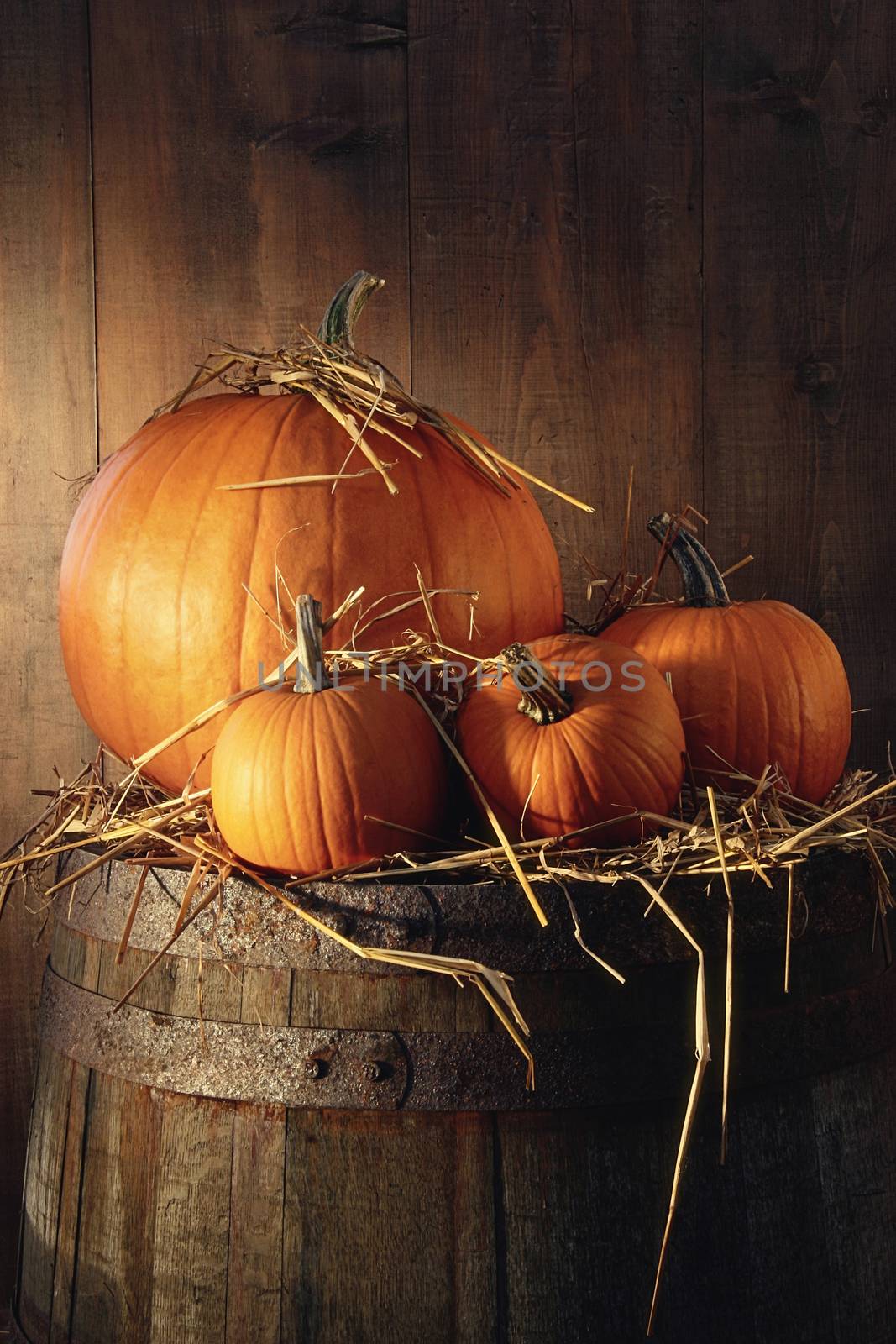 Pumpkins on old barrel in barn