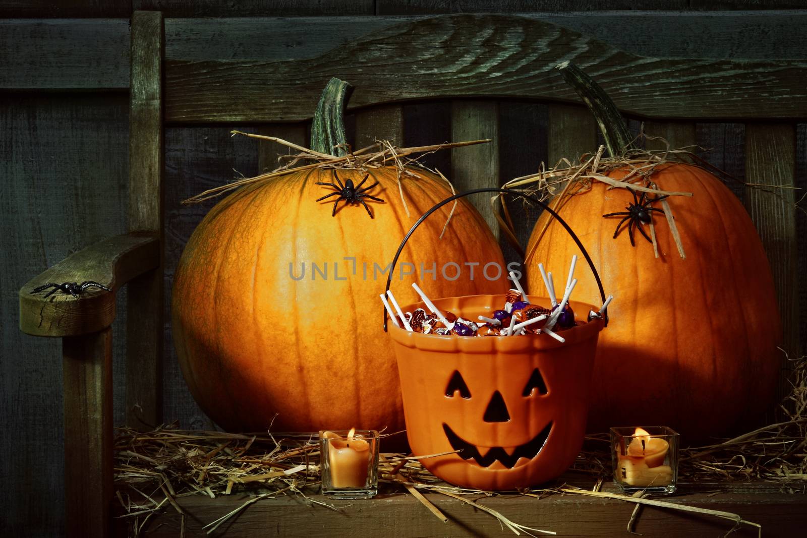 Pumpkins and spiders with candles on bench  by Sandralise
