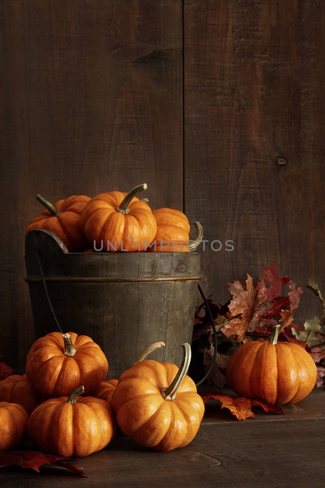Miniature pumpkins on wooden table with leaves