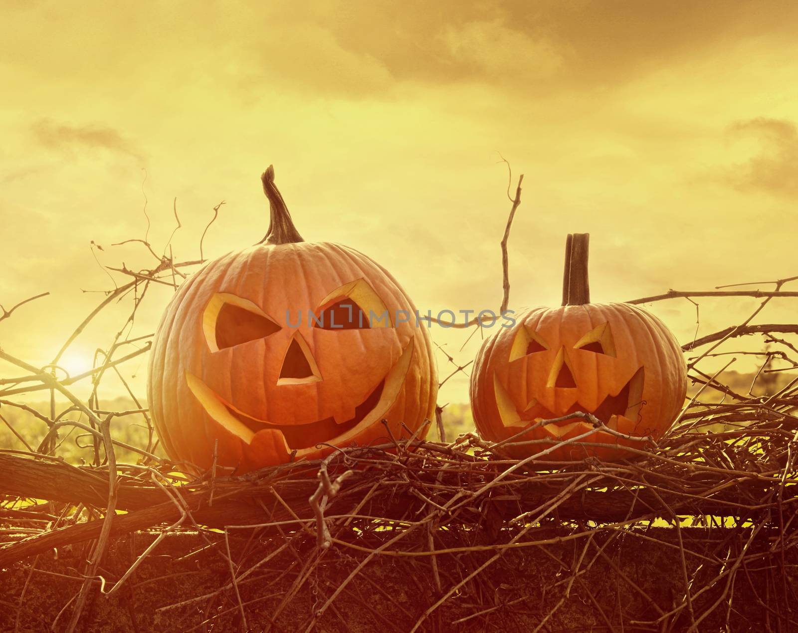 Funny face pumpkins sitting on grapevine and fence