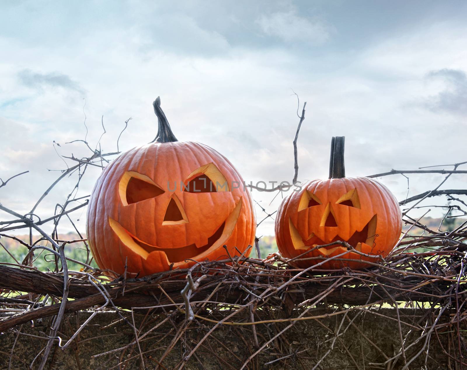 Funny face pumpkins sitting on fence by Sandralise