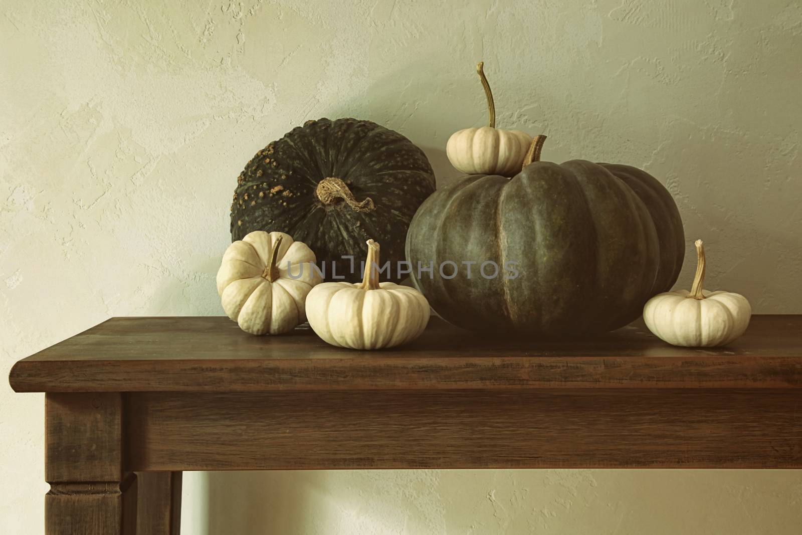 Green pumpkins and small gourds on table  by Sandralise