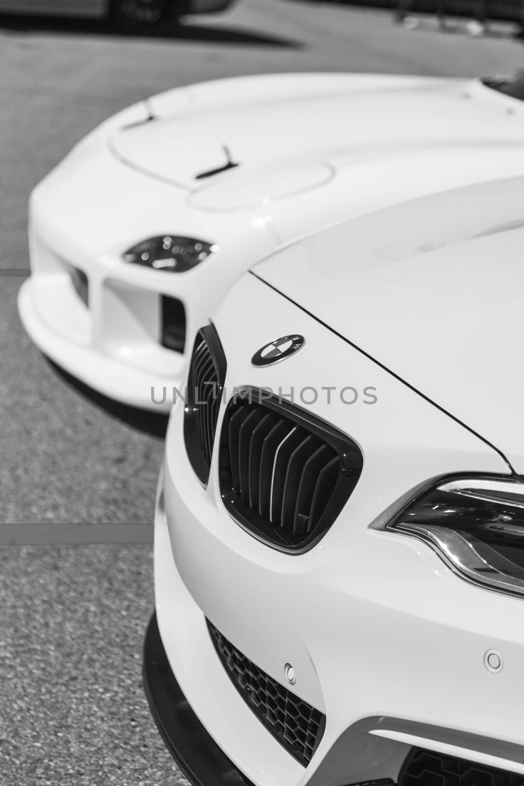 Hot Import Cars by Imagecom