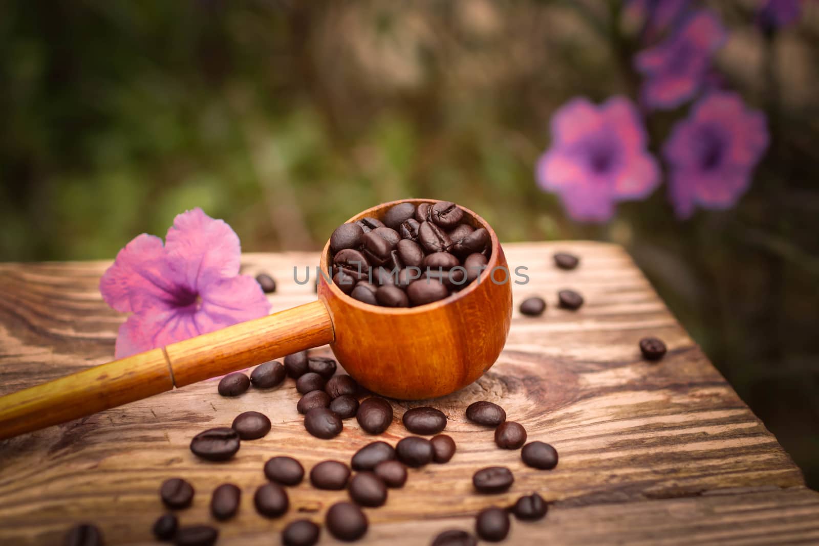 coffee beans