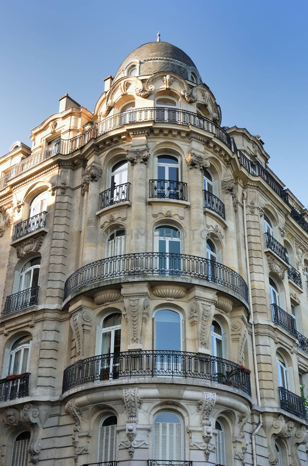 Tall Parisian street houses by pauws99