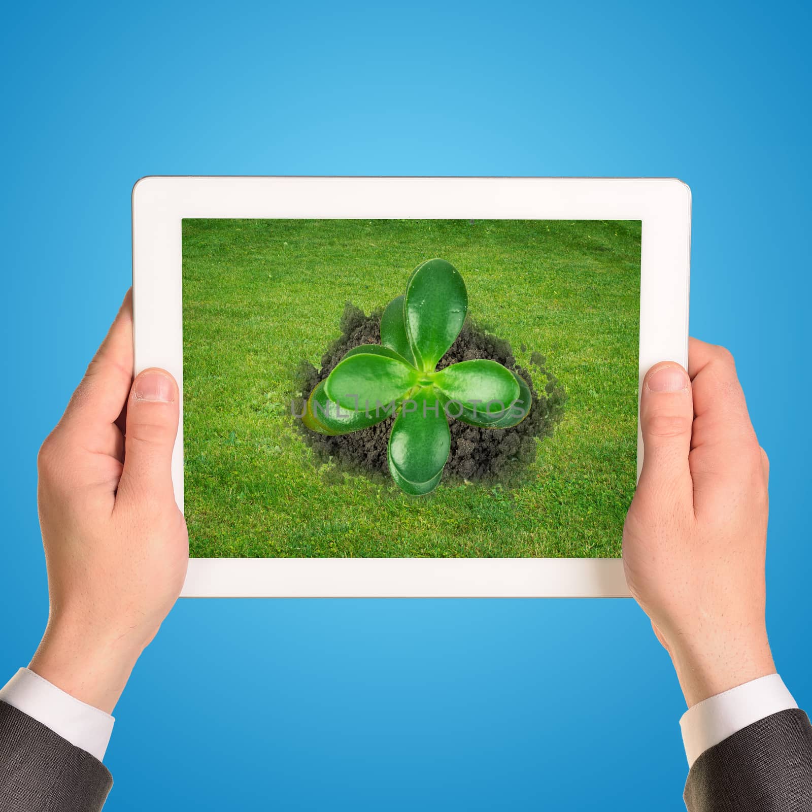 Businessman holding tablet with plant on blue background