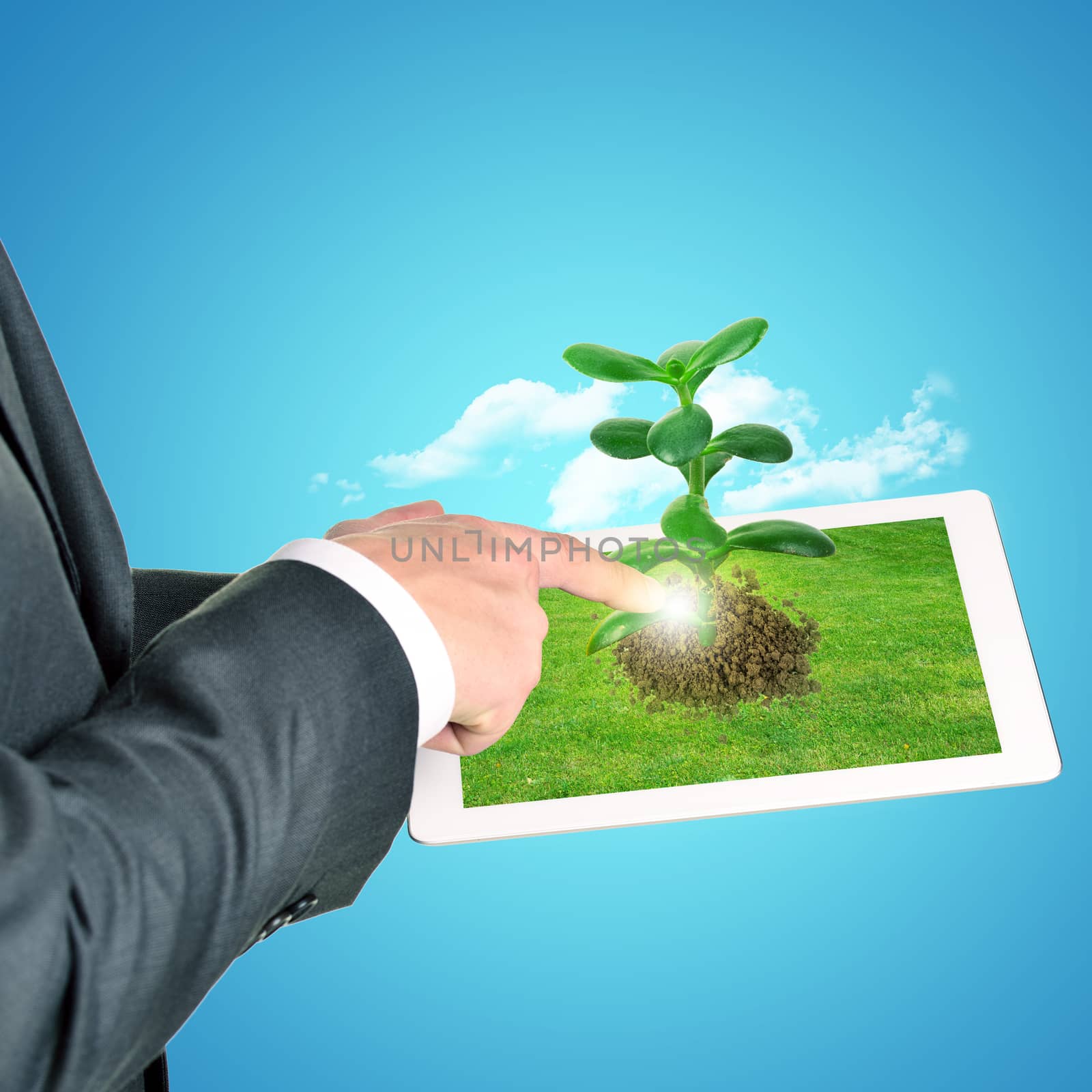 Businessman touching tablet with plant on blue background