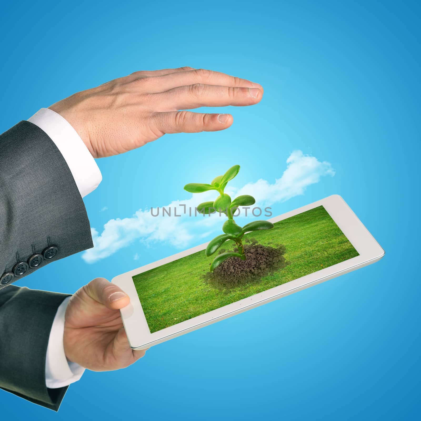 Businessman with tablet and plant on blue background
