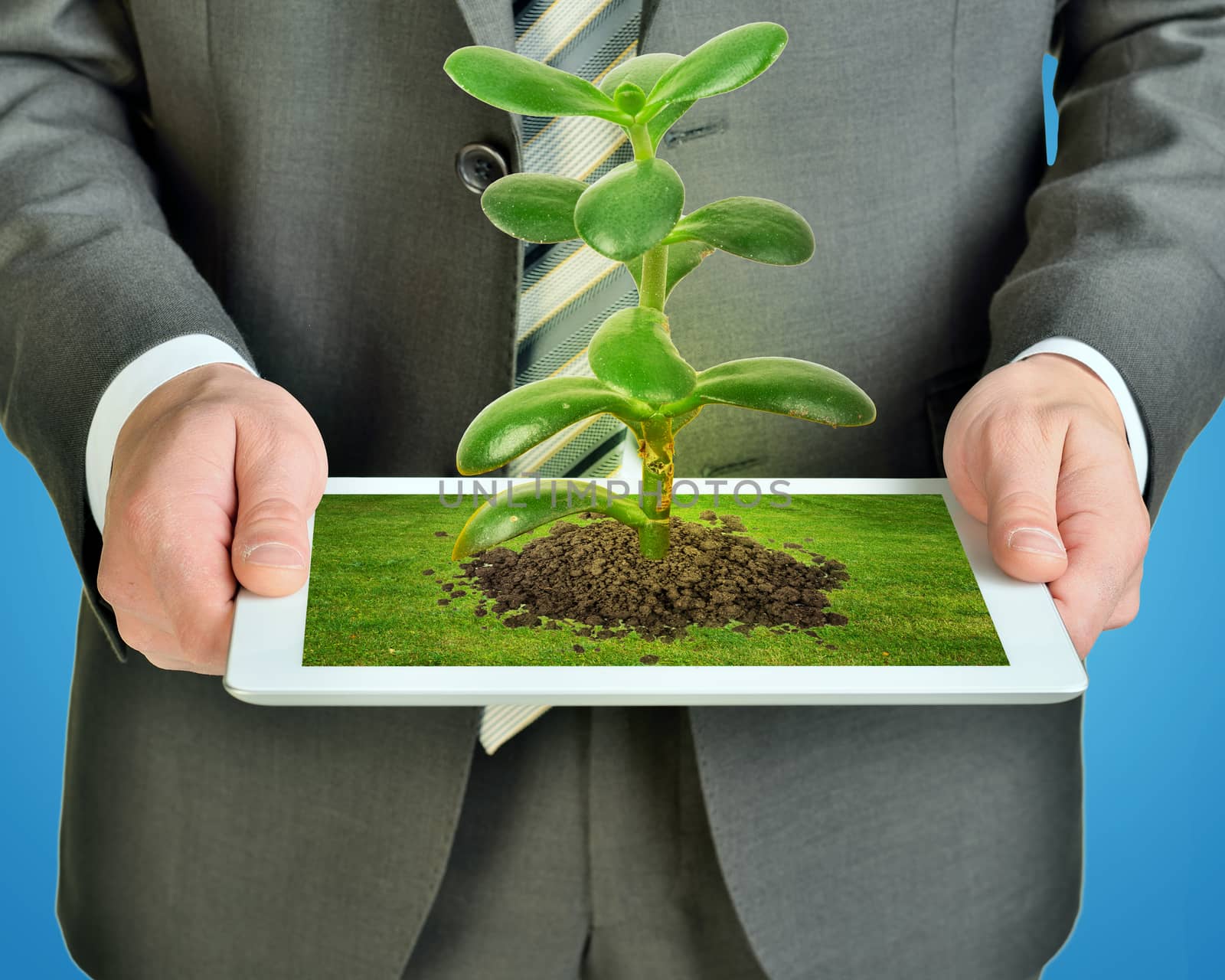 Businessman holding tablet with plant, front view by cherezoff
