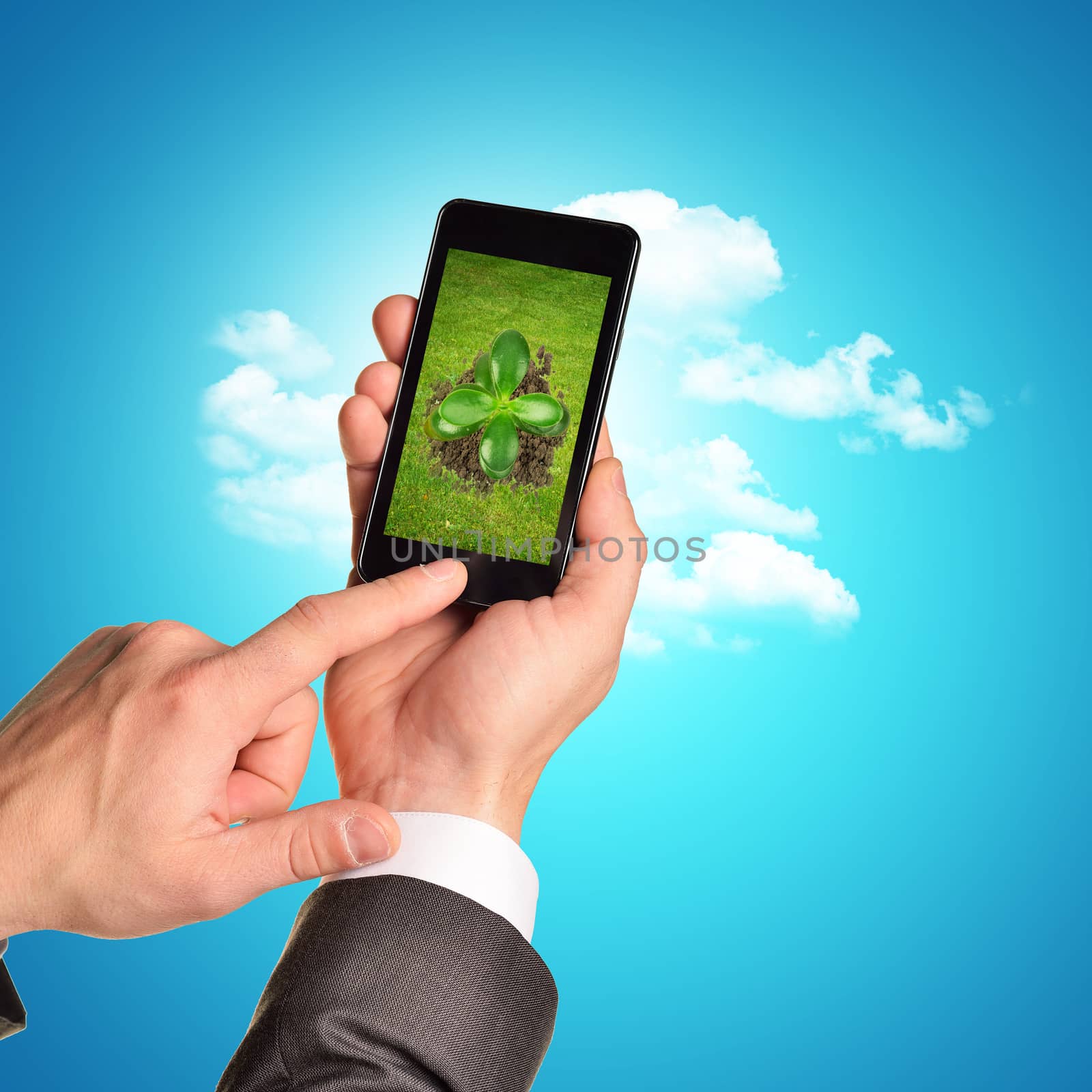 Businessman holding phone with plant on blue background