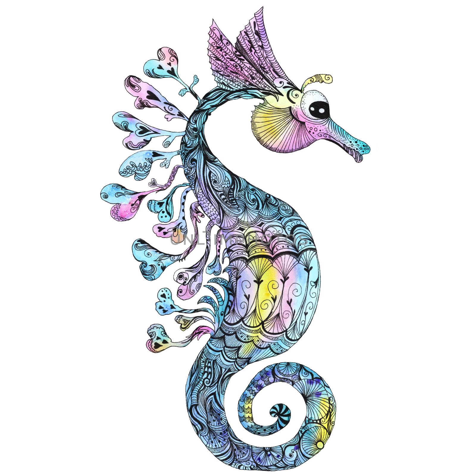 Creative Watercolor Seahorse by kisika