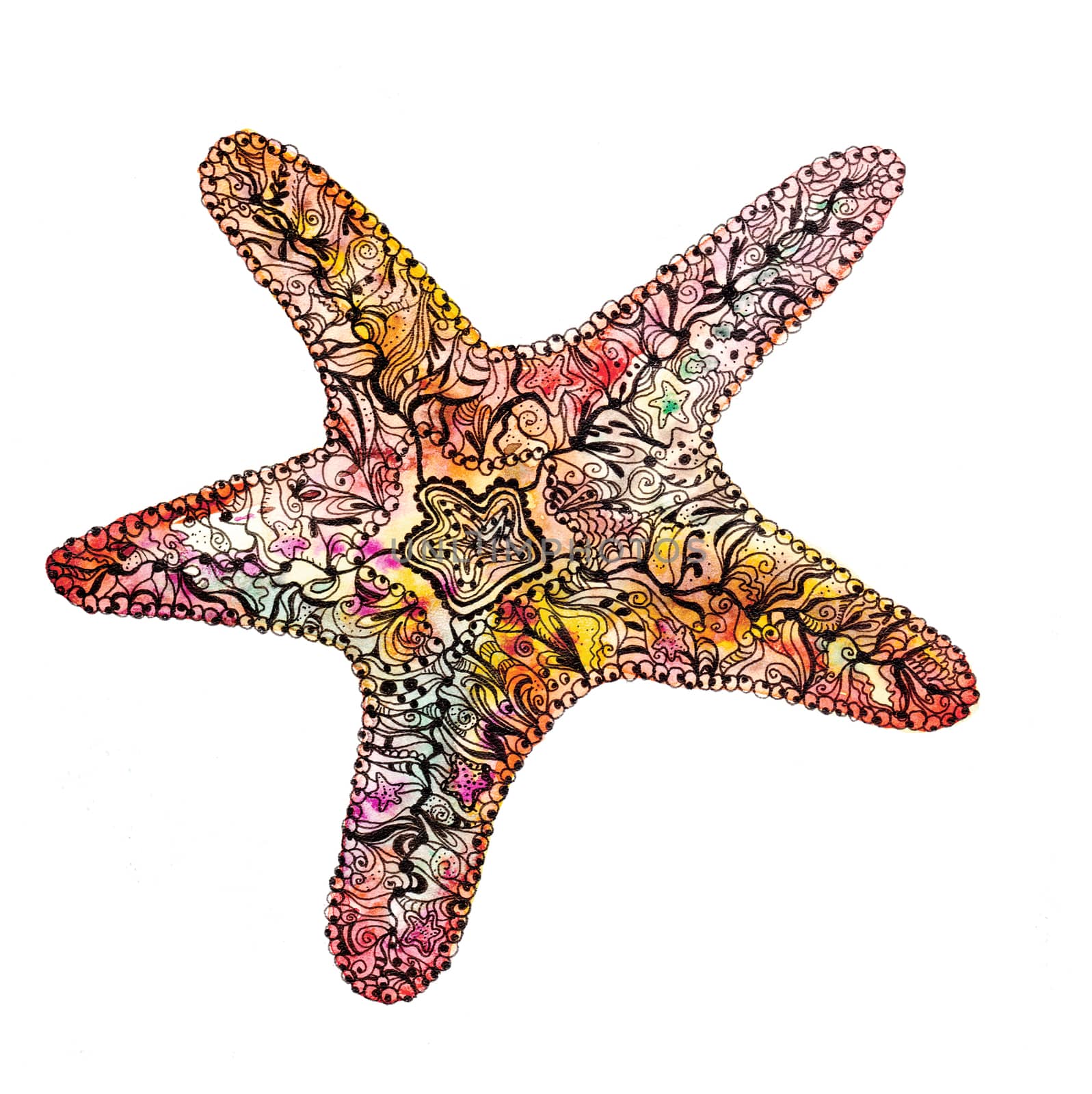 Creative watercolor starfish by kisika