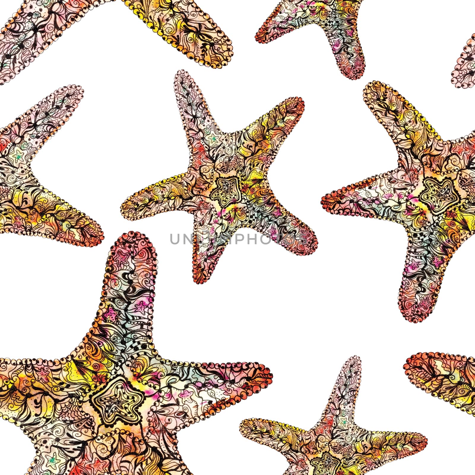Ornamental Starfish Pattern by kisika