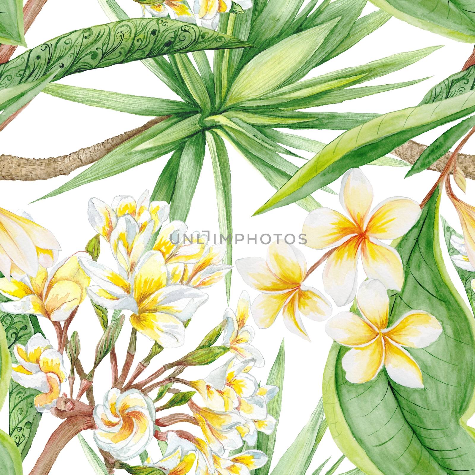 Watercolor Tropical Plants by kisika