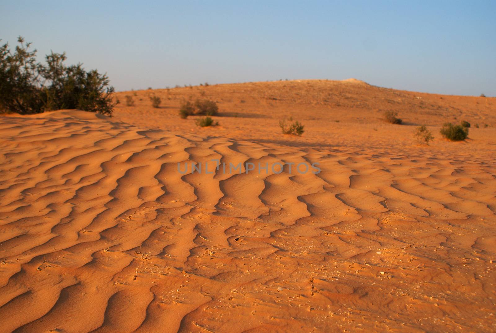 dry sand desert in middle east by javax