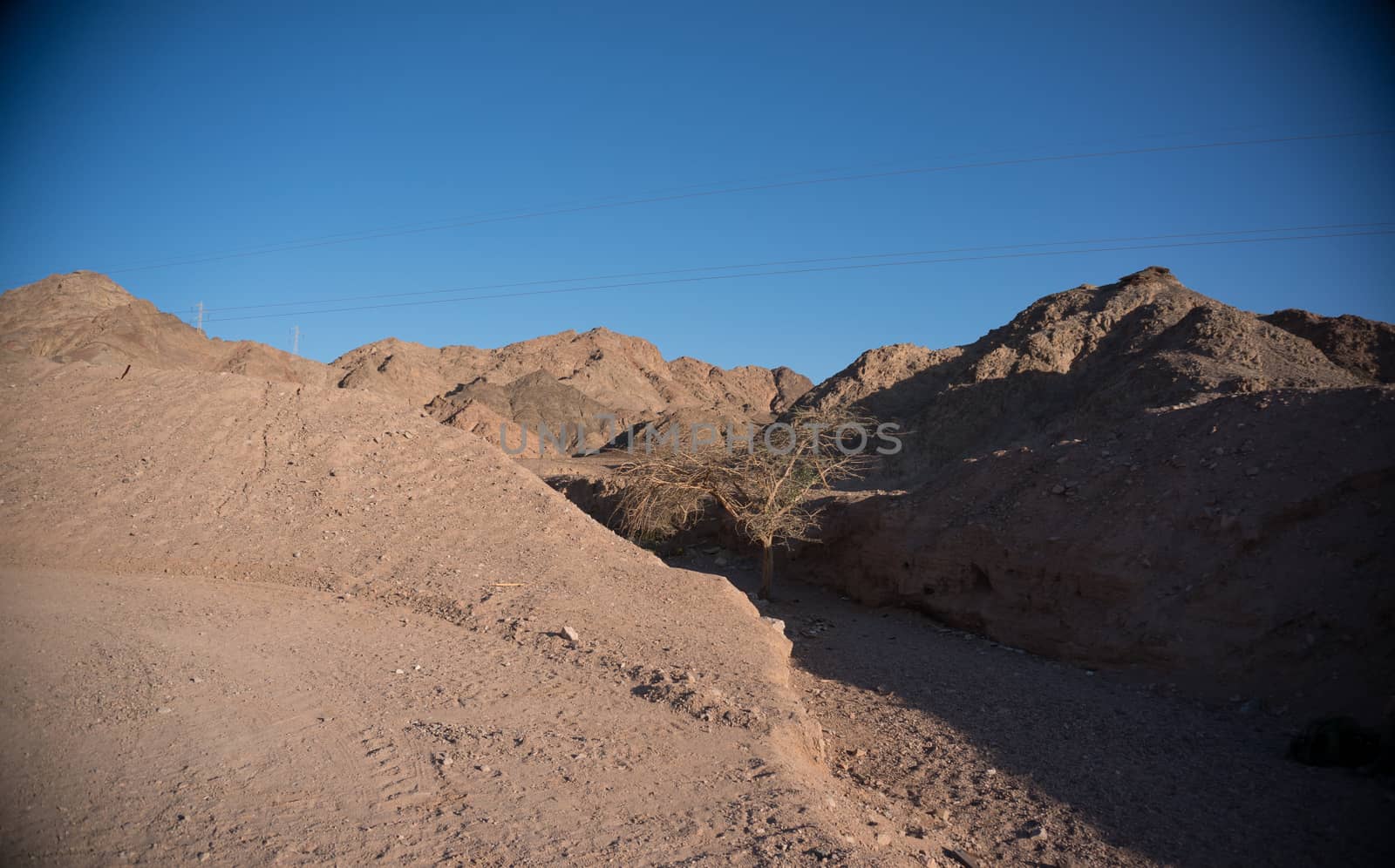 Stone desert in Israel by javax