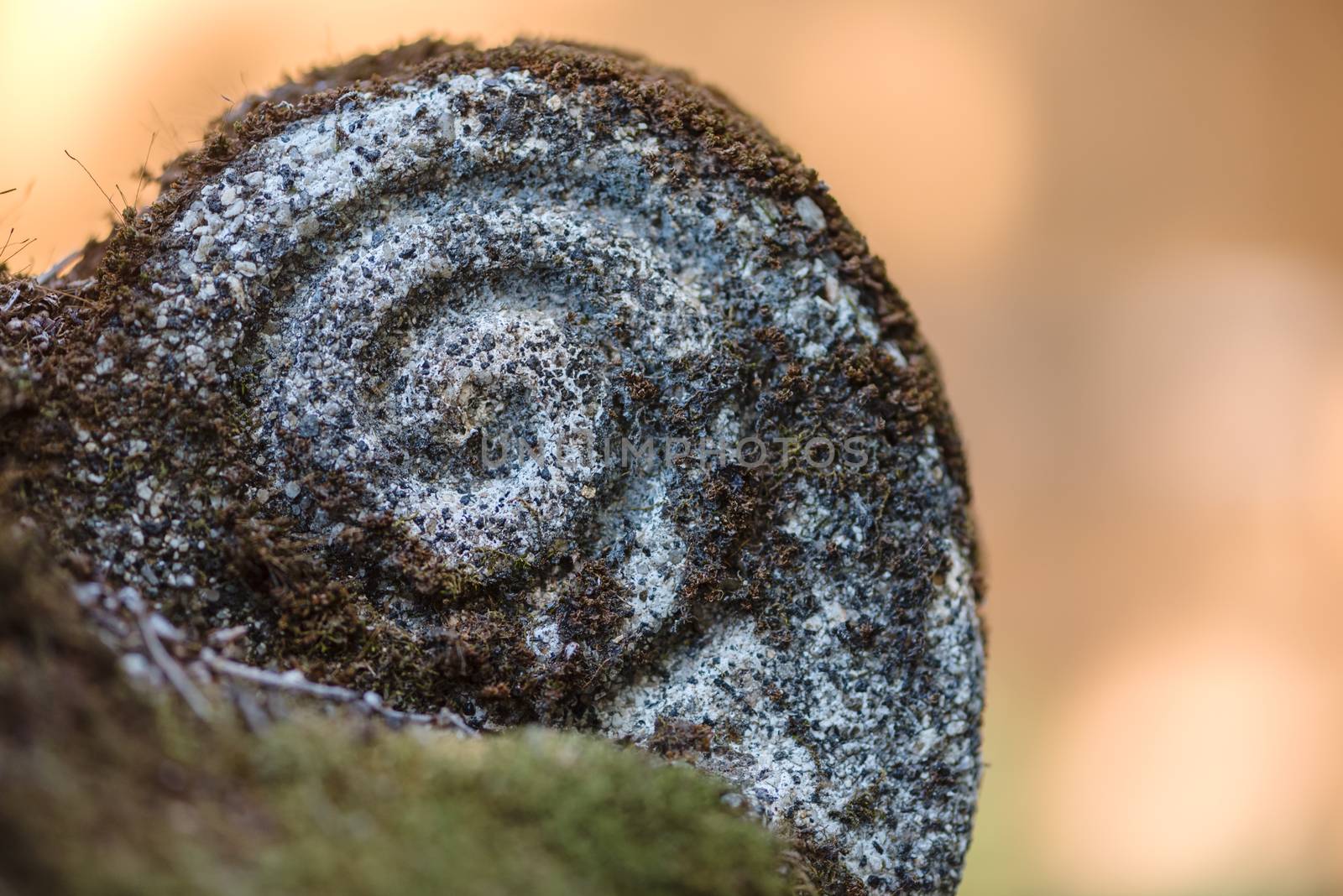Sprial Rock with Moss by justtscott