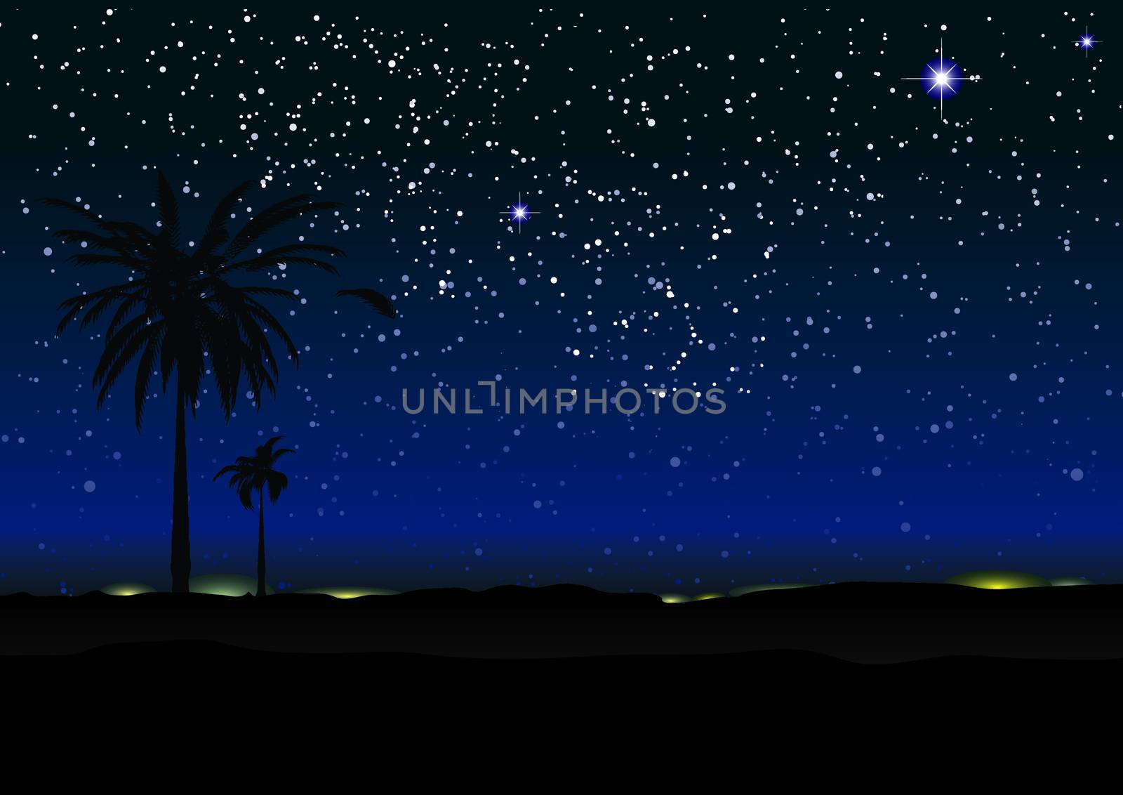 Nights sky with stars and palm trees in silhouette