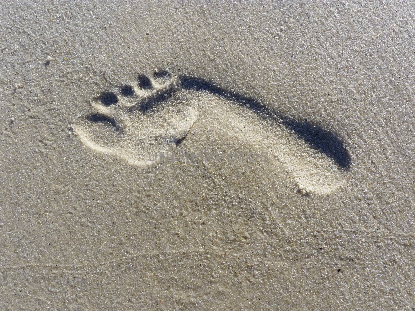 Single footprint on sand beach