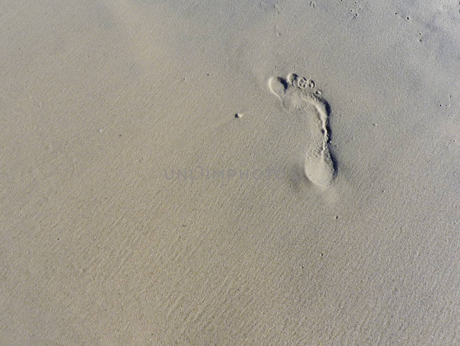 Single footprint on sand beach