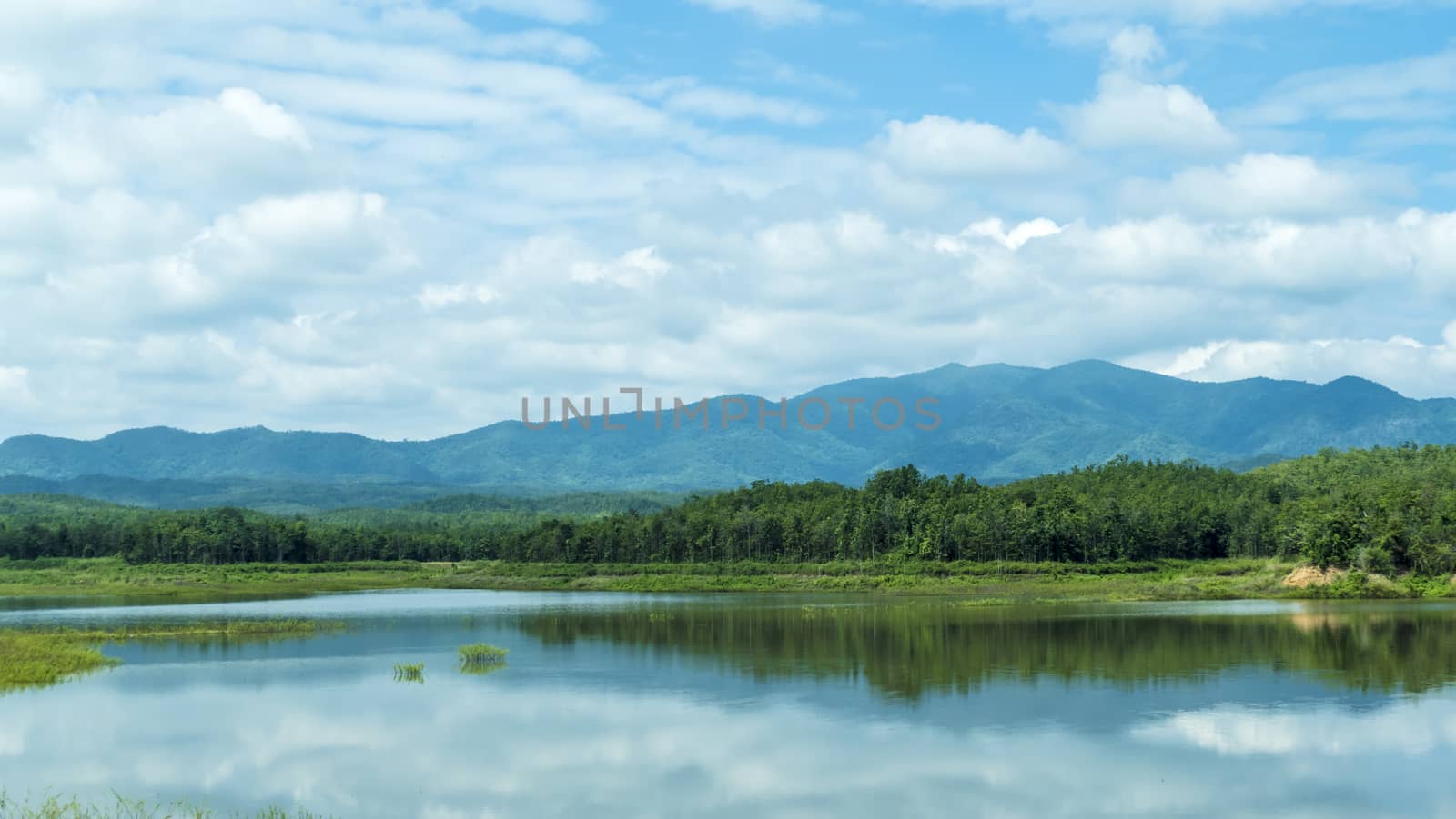 landscape with mountains trees and a river in front